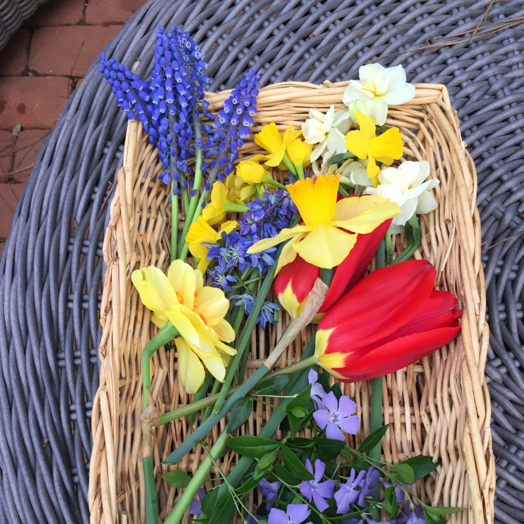 Fresh flowers in basket